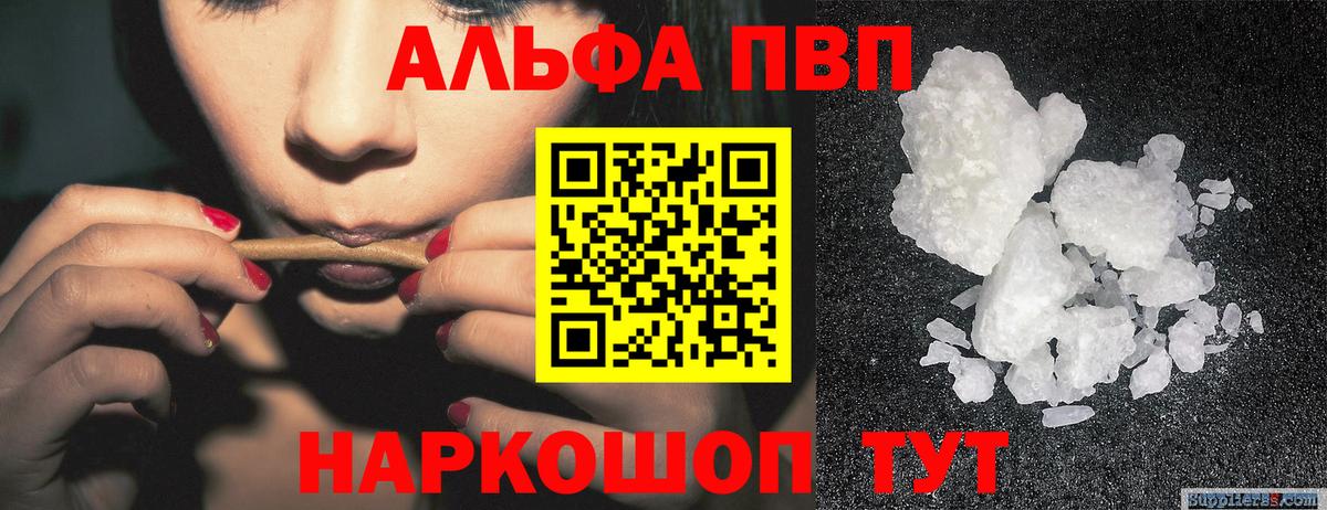 А ПВП СК КРИС  Вход с VPN  закладки  Альфа ПВП СК  APVP СК КРИС  Ачхой-Мартан 