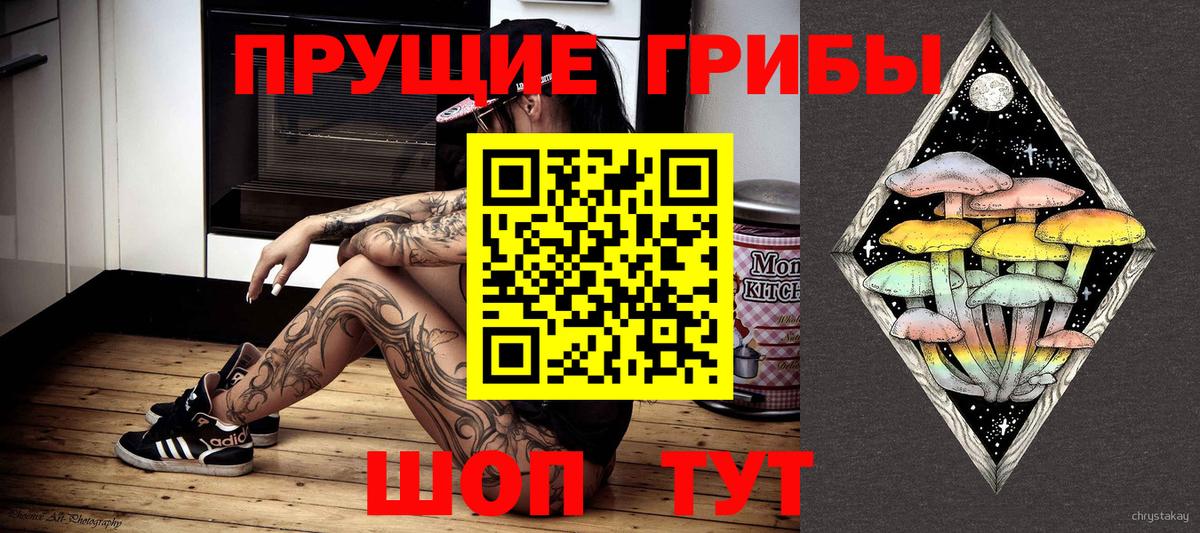 Ачхой-Мартан  Псилоцибиновые грибы Psilocybe  Галлюциногенные грибы Magic Shrooms  Вход с VPN 